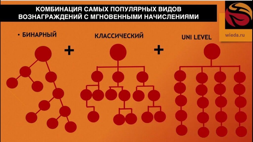 Маркетинг план компании Виеда