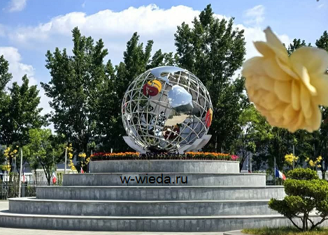 Виеда - сетевая компания Whieda